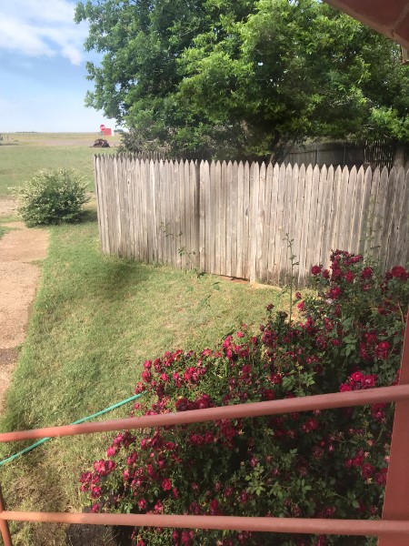West side yard with flowering landscaping and open acreage beyond